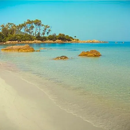 Apartment Grand T2 Standing Proche Centre Et Plages Vue Panoramique Parking Prive Ajaccio (Corsica)